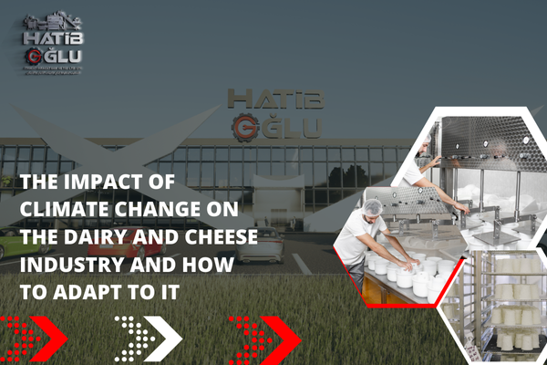 The impact of climate change on the dairy and cheese industry and how to adapt to it